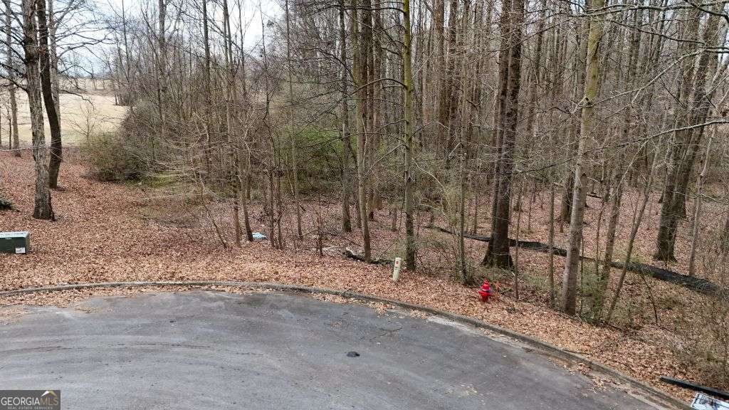 203 Adams Drive Commerce, GA 30530 - Photo 2 of 10 a view of road and trees