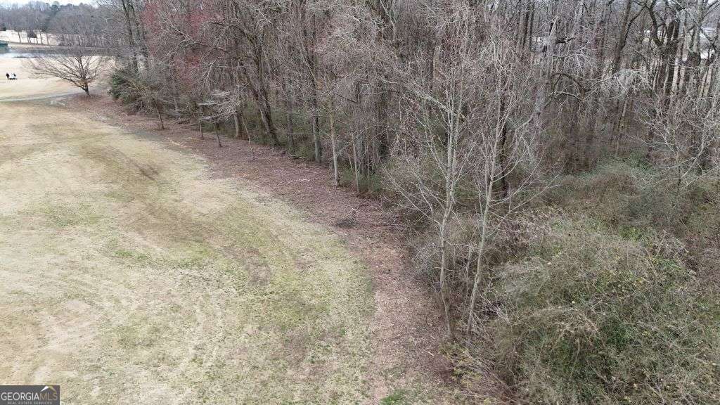 203 Adams Drive Commerce, GA 30530 - Photo 8 of 10 a view of a dry yard with trees