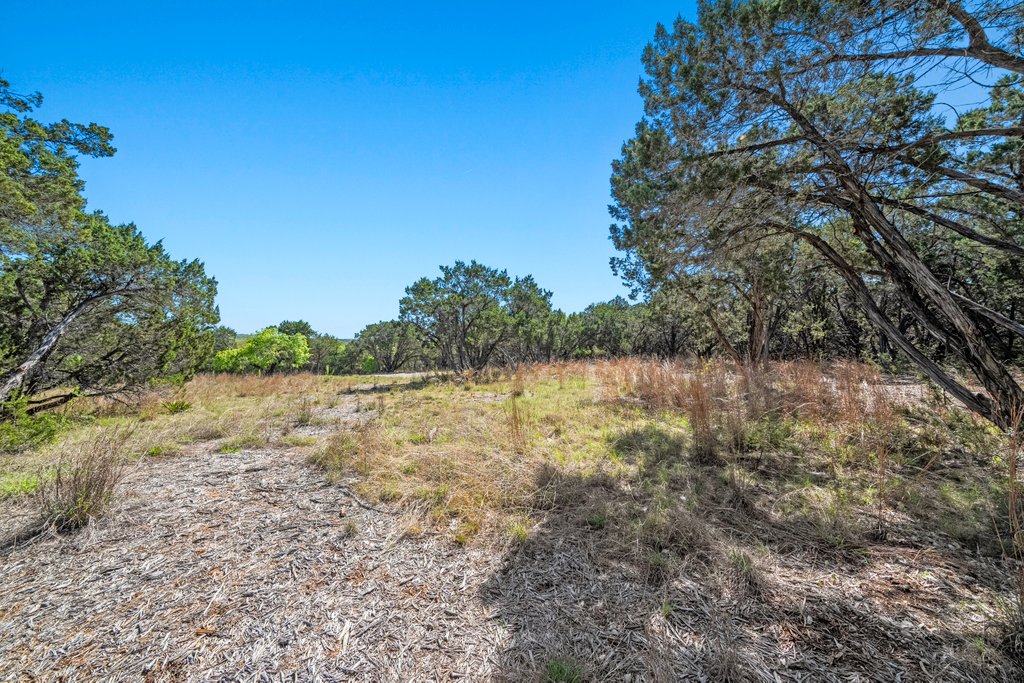 716 Ridge Oak Drive Wimberley, TX 78676 - Photo 9 of 16 a view of lake with mountain