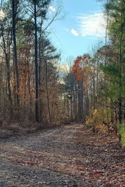 Depot Road McKenney, VA 23872 - Photo 6 of 7 Gallery Image 6