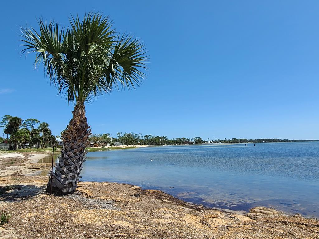 910 Ave A Port St. Joe, FL 32456 - Photo 30 of 32