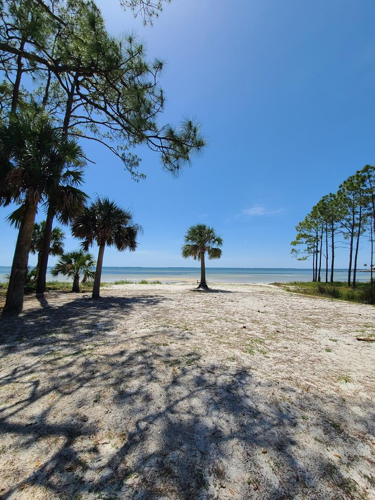 910 Ave A Port St. Joe, FL 32456 - Photo 31 of 32