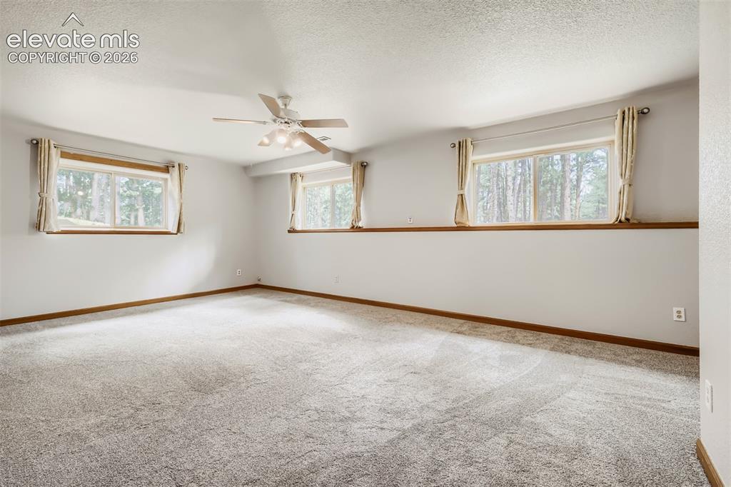 8750 Tannenbaum Road Colorado Springs, CO 80908 - Photo 27 of 39