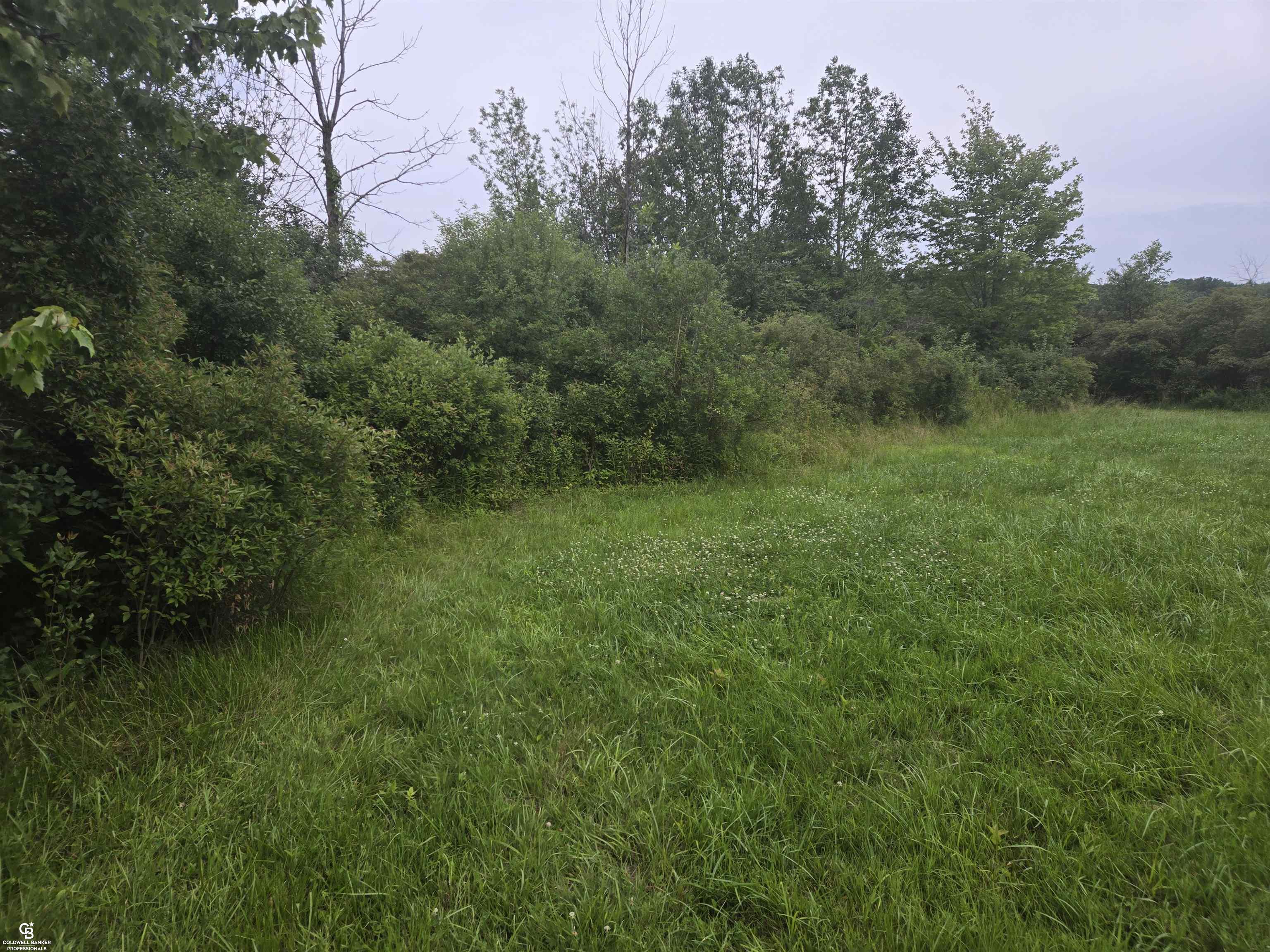 0 Duce Road Avoca, MI 48006 - Photo 5 of 10