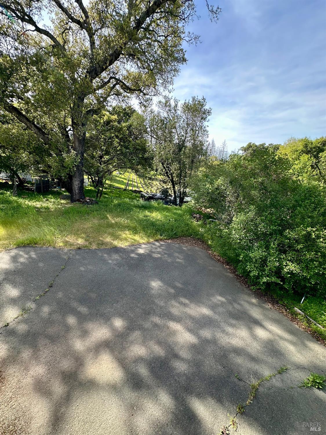 908 Sanitarium Road Deer Park, CA 94576 - Photo 11 of 14 a view of a yard with plants and large trees