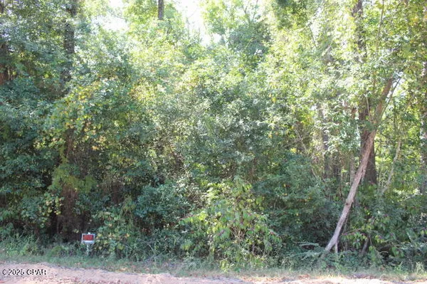 $25,000 | 0 Northwest Hall Circle, Bristol, FL 32321