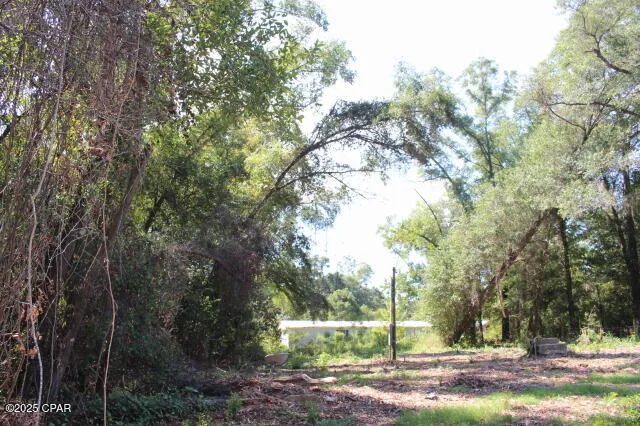 $22,500 | 0 Northwest Hall Circle, Bristol, FL 32321