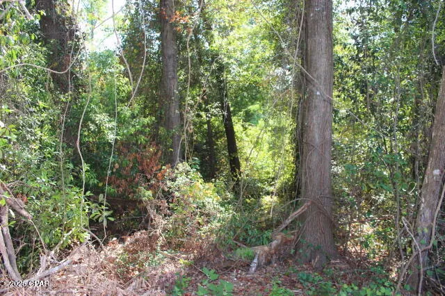 $22,500 | 0 Northwest Hall Circle, Bristol, FL 32321