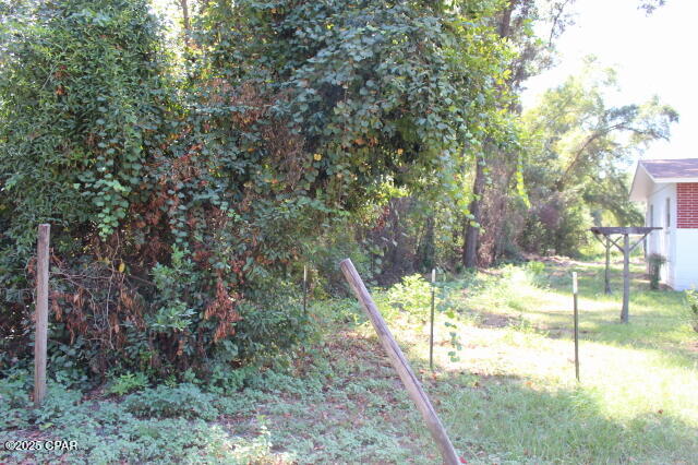 0 Northwest Hall Circle Bristol, FL 32321 - Photo 14 of 17