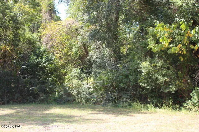 $22,500 | 0 Northwest Hall Circle, Bristol, FL 32321