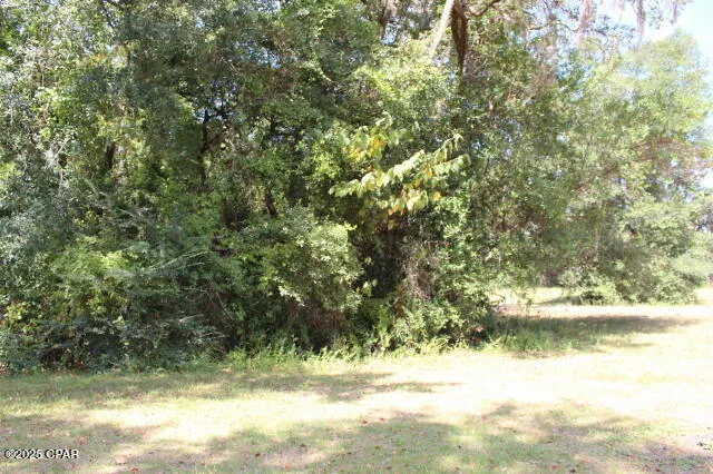 $22,500 | 0 Northwest Hall Circle, Bristol, FL 32321