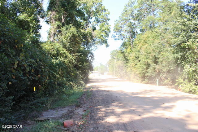 0 Northwest Hall Circle Bristol, FL 32321 - Photo 4 of 17