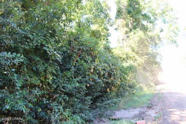 $22,500 | 0 Northwest Hall Circle, Bristol, FL 32321