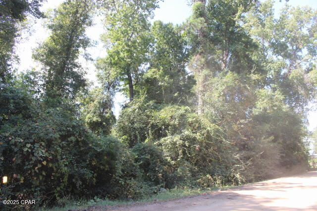 0 Northwest Hall Circle Bristol, FL 32321 - Photo 6 of 17