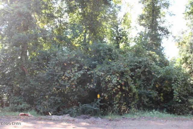 $22,500 | 0 Northwest Hall Circle, Bristol, FL 32321