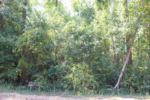 $22,500 | 0 Northwest Hall Circle, Bristol, FL 32321