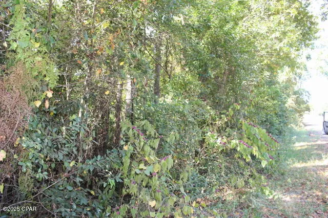 $22,500 | 0 Northwest Hall Circle, Bristol, FL 32321