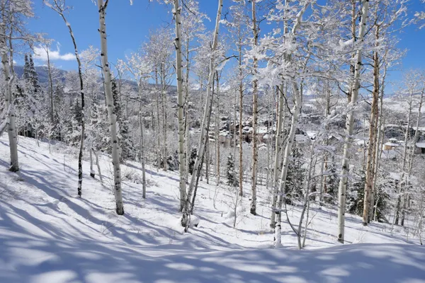 a view of a yard of the house