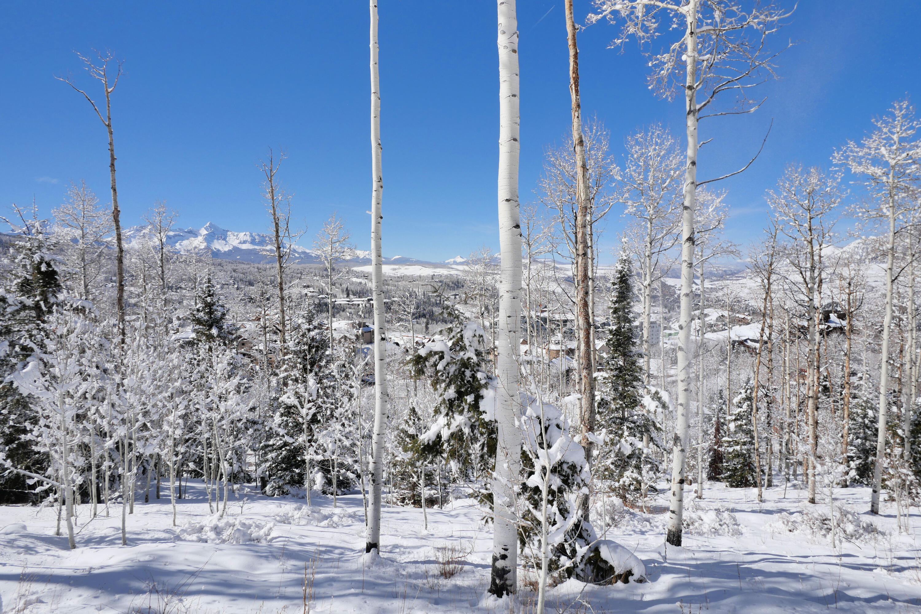 Tbd Granite Ridge Drive Telluride, CO 81435 - Photo 2 of 12 a view of a city with tall trees