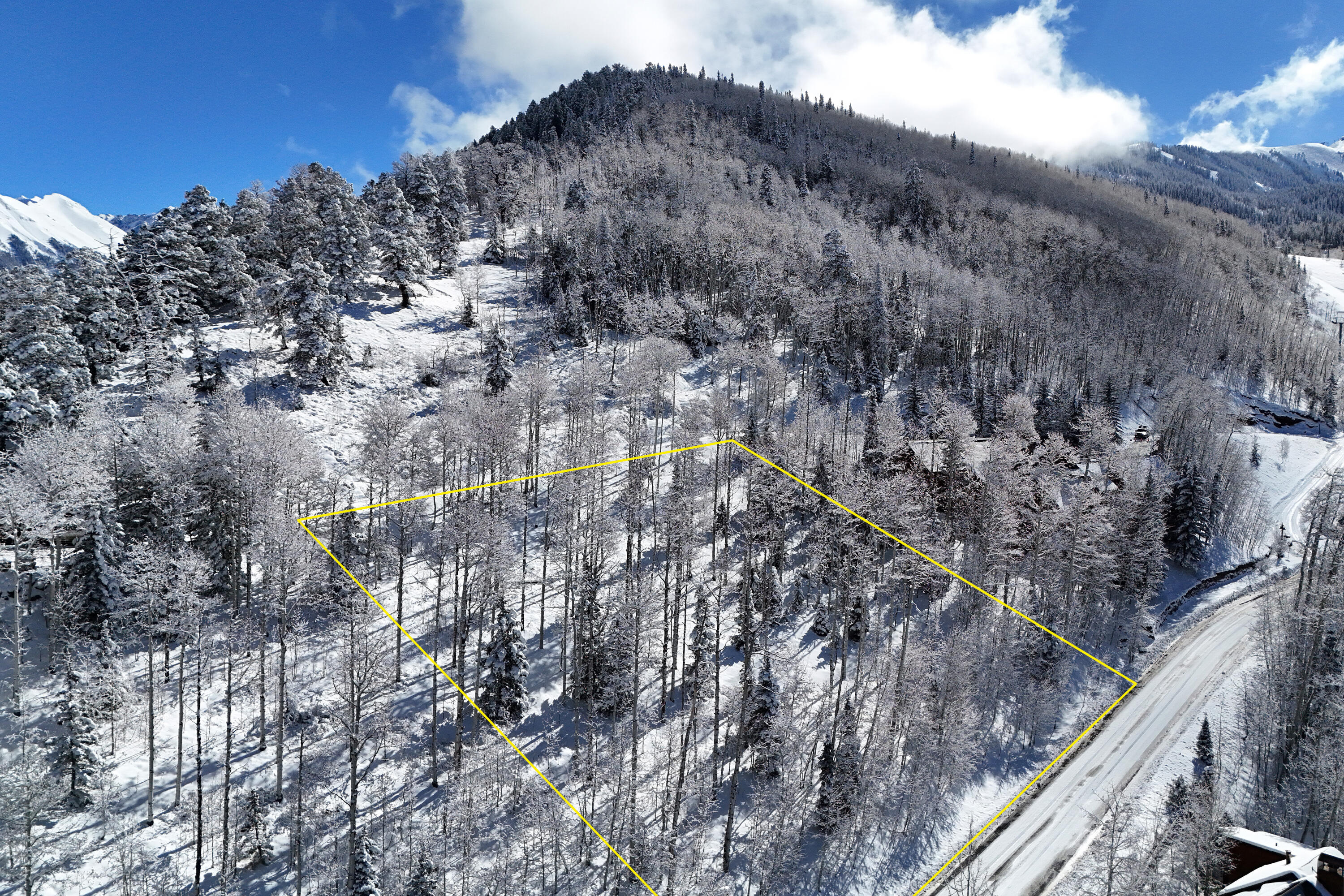 Tbd Granite Ridge Drive Telluride, CO 81435 - Photo 9 of 12 a view of a dry yard with trees in the background