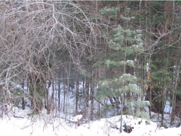 0 Hazen Road Bethlehem, NH 03574 - Photo 2 of 7