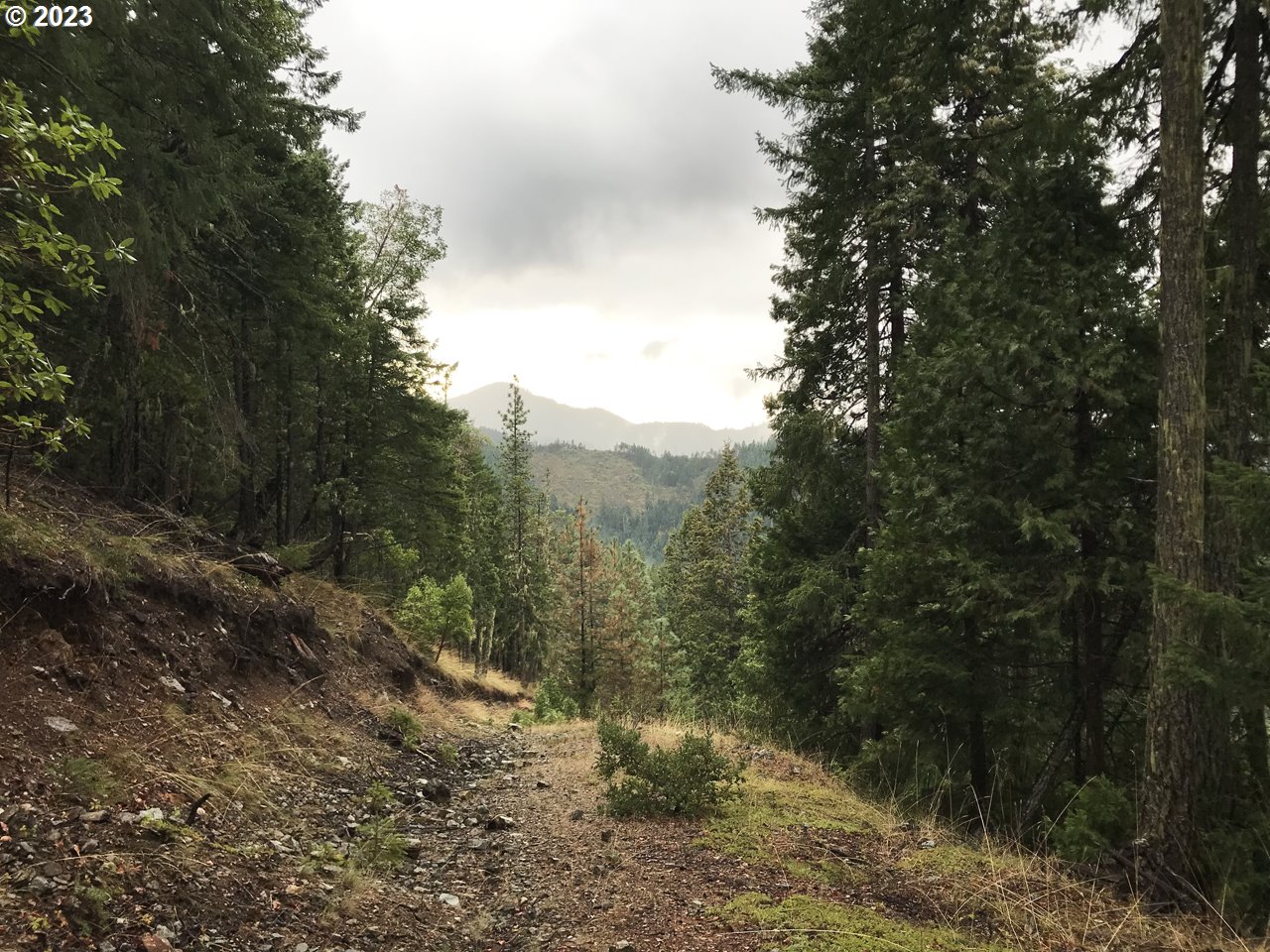 Creek Road Azalea, OR 97410 - Photo 10 of 17 Gallery Image 10
