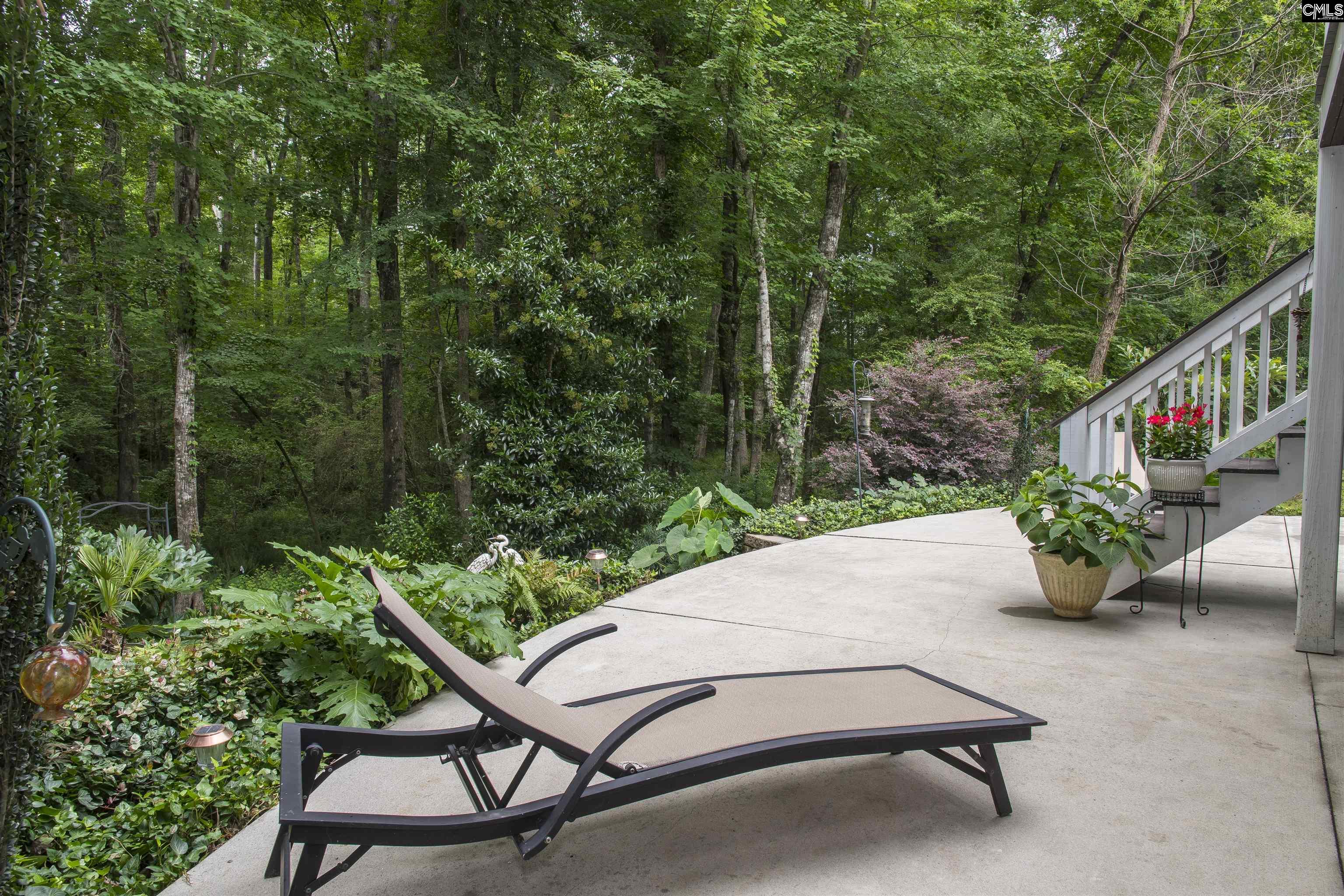 101 Woolbright Avenue Chapin, SC 29036 - Photo 47 of 61