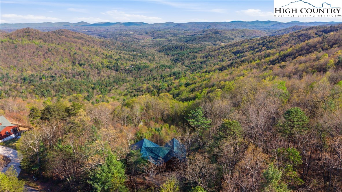 196 Eagle Nest Road Purlear, NC 28665 - Photo 8 of 36 a view of a forest with mountains in the background