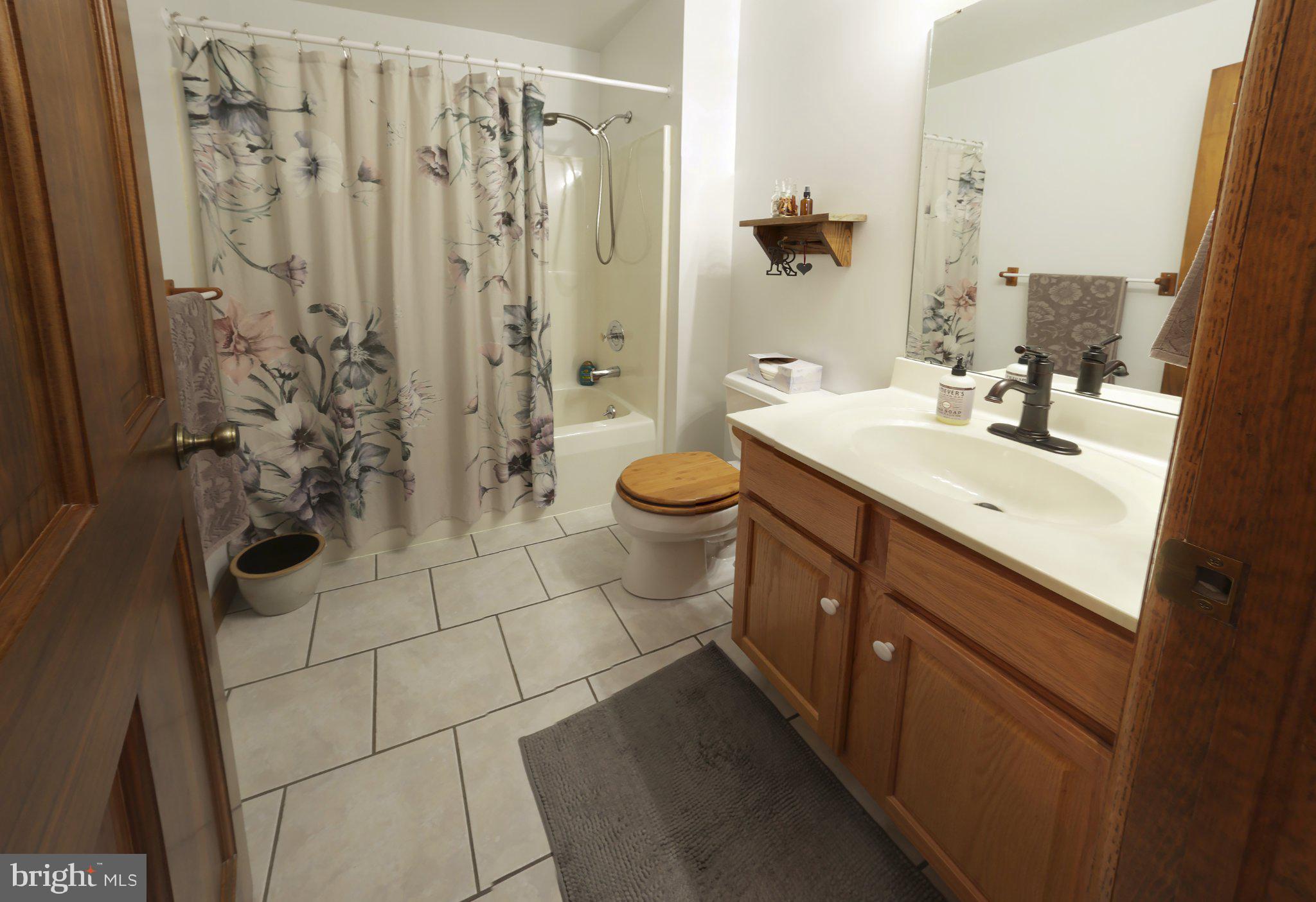 1580 Girl Scout Road Denver, PA 17517 - Photo 27 of 47 Second bathroom with shower and tub