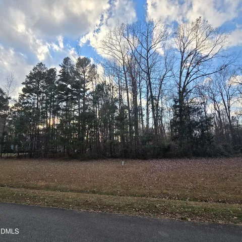 a view of backyard with green space
