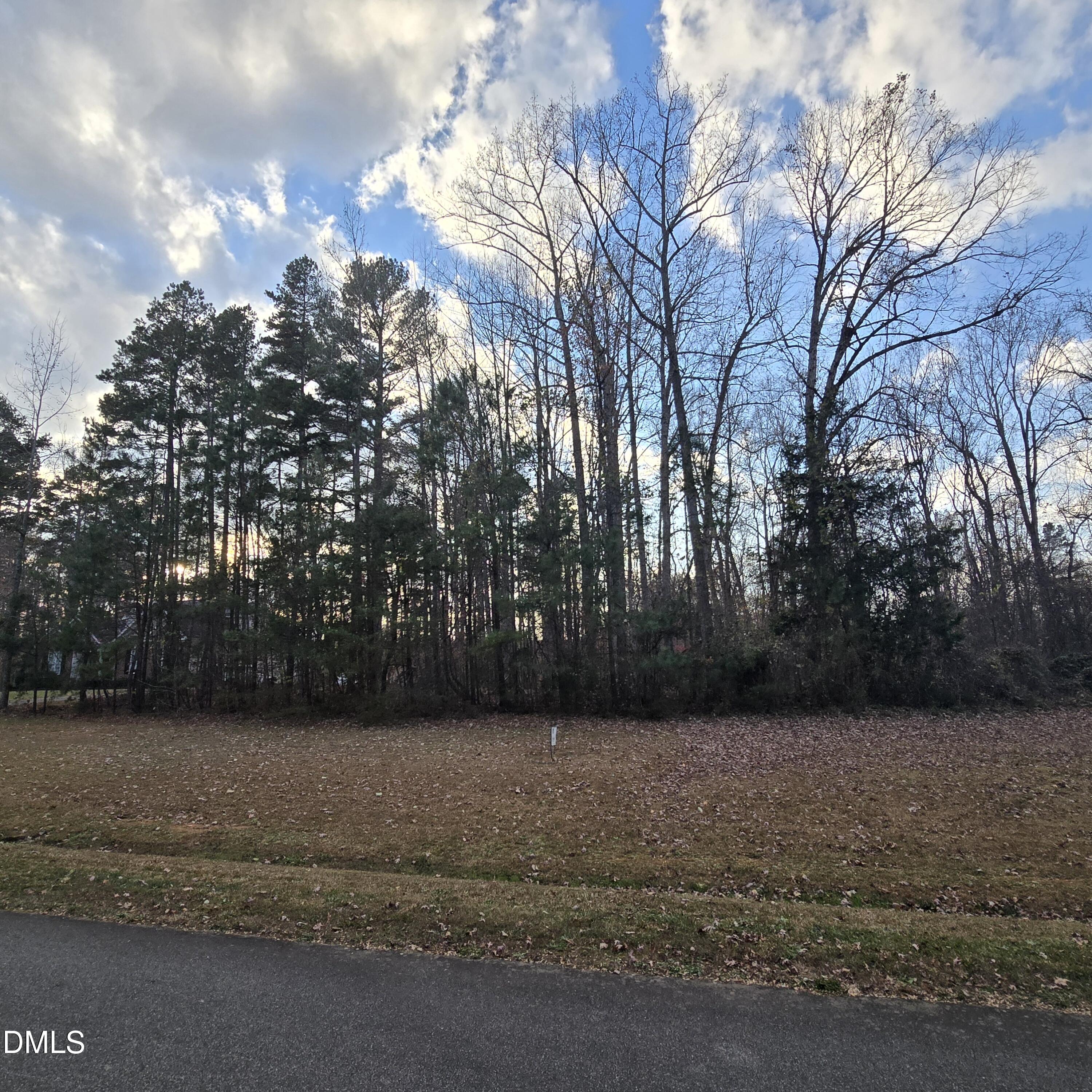 100 River Bend Drive Timberlake, NC 27583 - Photo 1 of 7 a view of backyard with green space