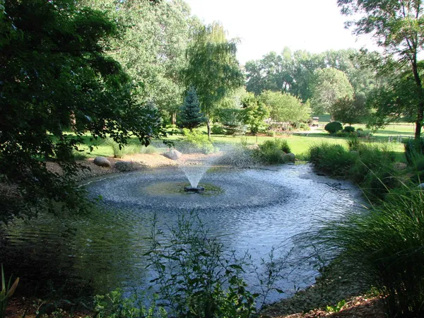 a view of a dirt pathway both side of a yard