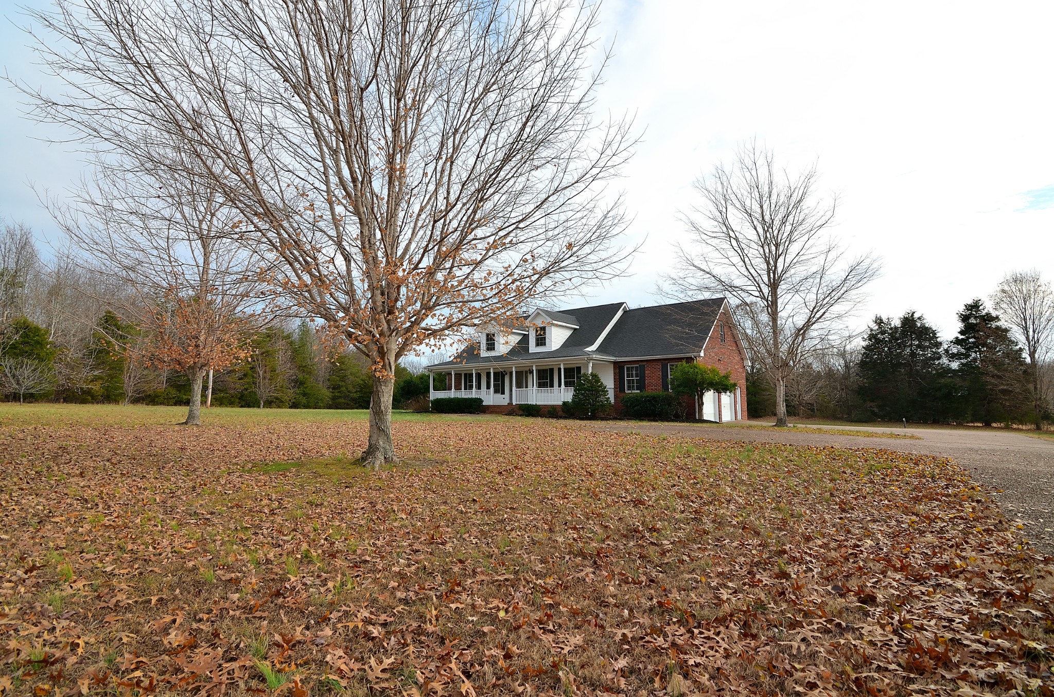 630 Poplar Ridge Road Chapmansboro, TN 37035 - Photo 50 of 50 Gallery Image 50