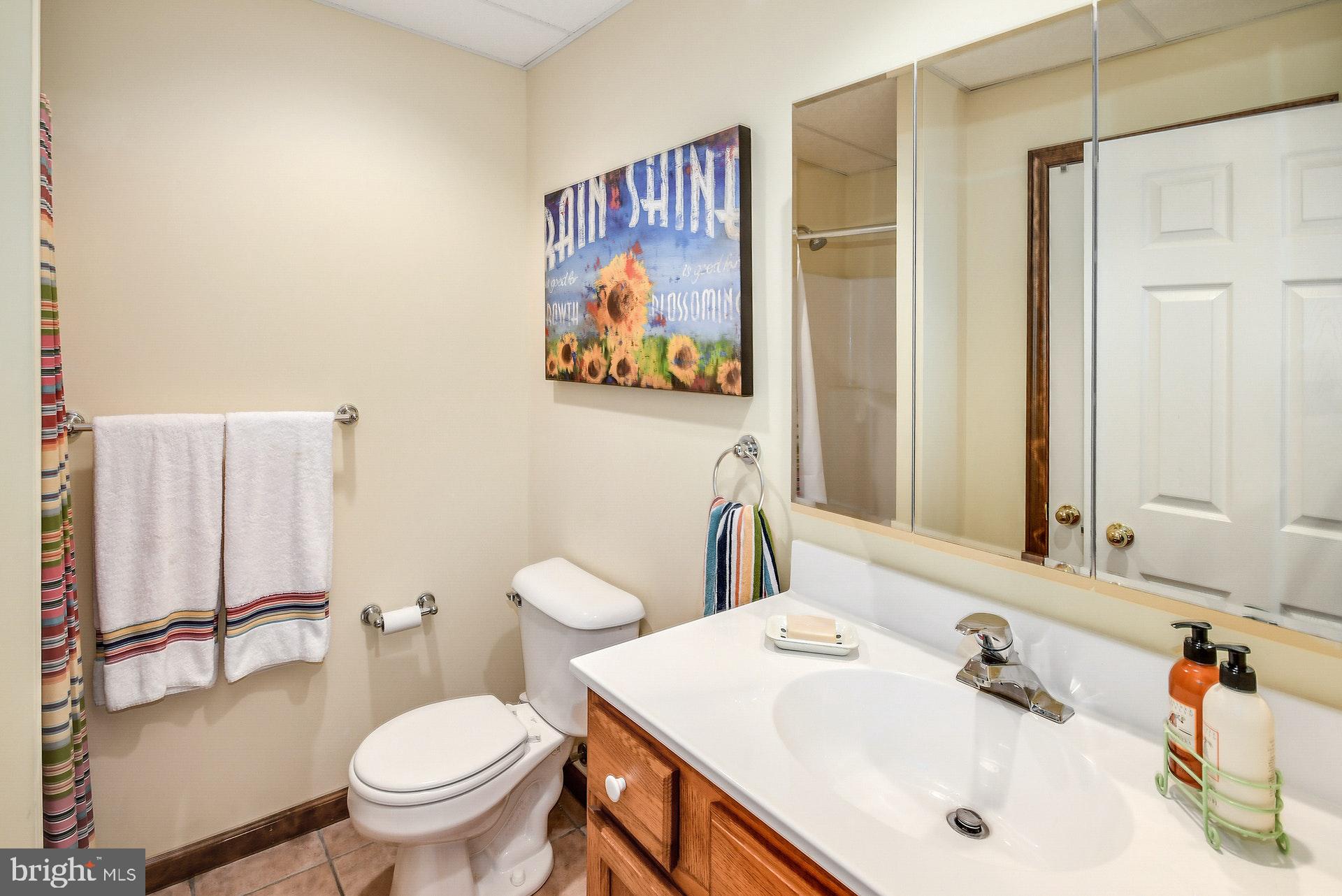 6634 Overlook Road Orefield, PA 18069 - Photo 42 of 53 Gallery Image 42