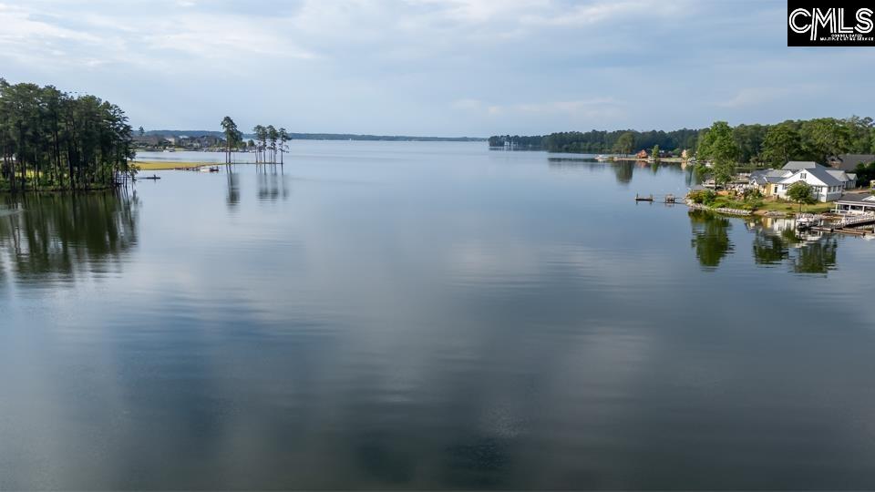 357 Cabana Way Lexington, SC 29072 - Photo 6 of 25 a view of lake
