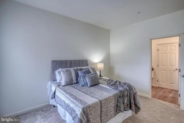 a bedroom with a bed and closet