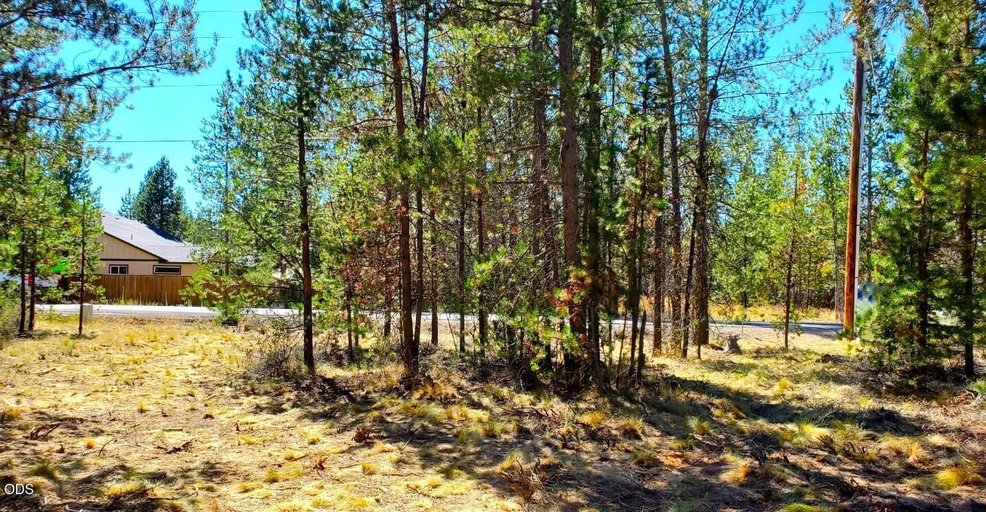 55618 Snow Goose Road Bend, OR 97707 - Photo 3 of 21 Gallery Image 3