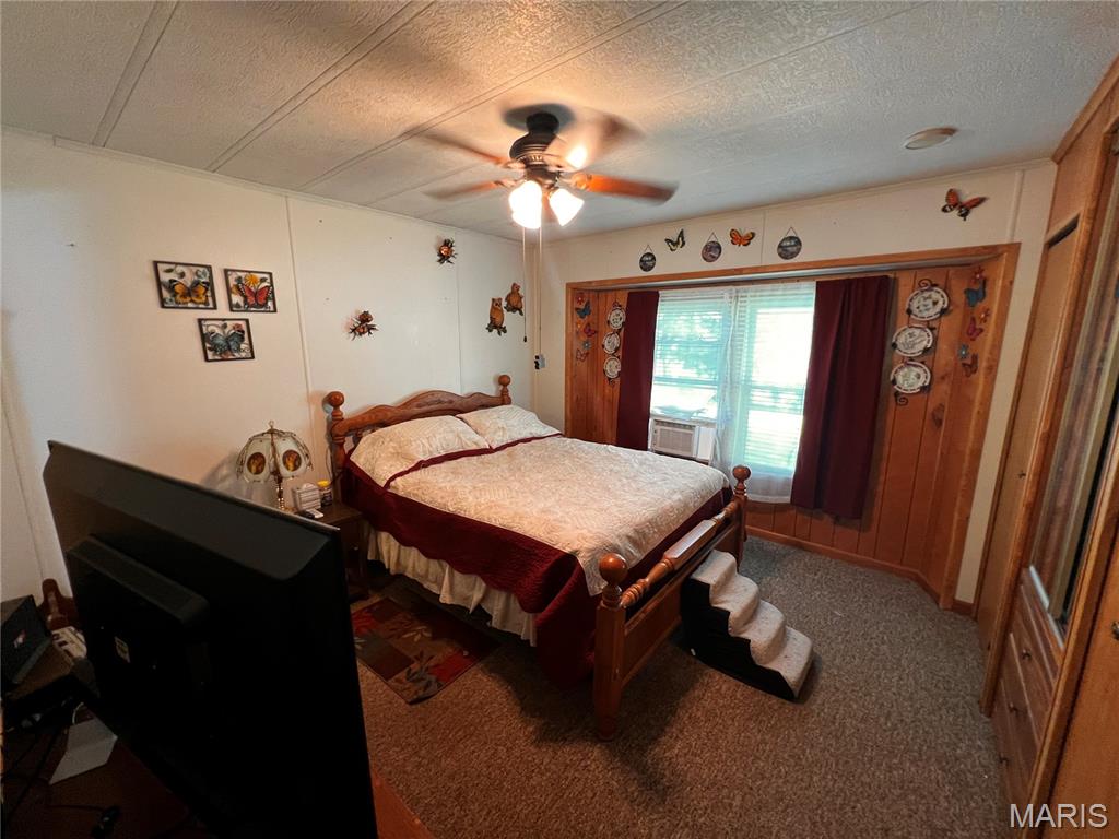 8360 Club Lane Alma, IL 62807 - Photo 19 of 24