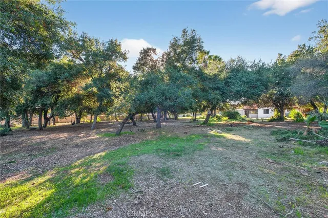 a view of outdoor space with trees
