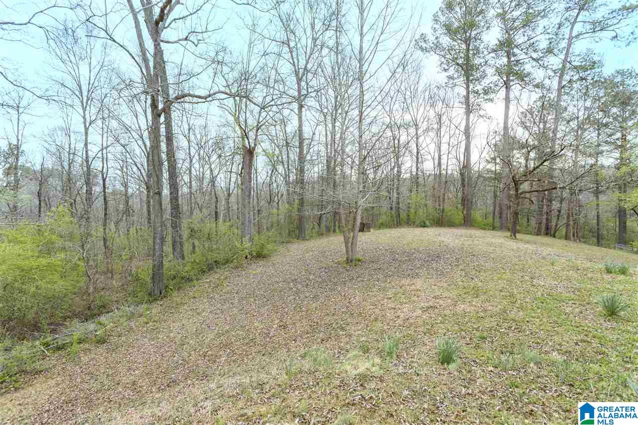 4542 Palace Road Dora, AL 35062 - Photo 7 of 32