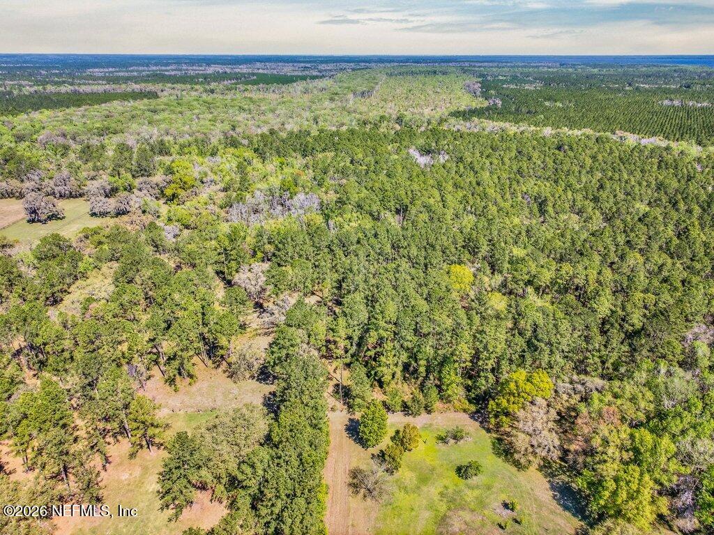 308 Palmetto Bluff Road Palatka, FL 32177 - Photo 11 of 47 011-308PalmettoBluffRoad-Palatka-FL-3217