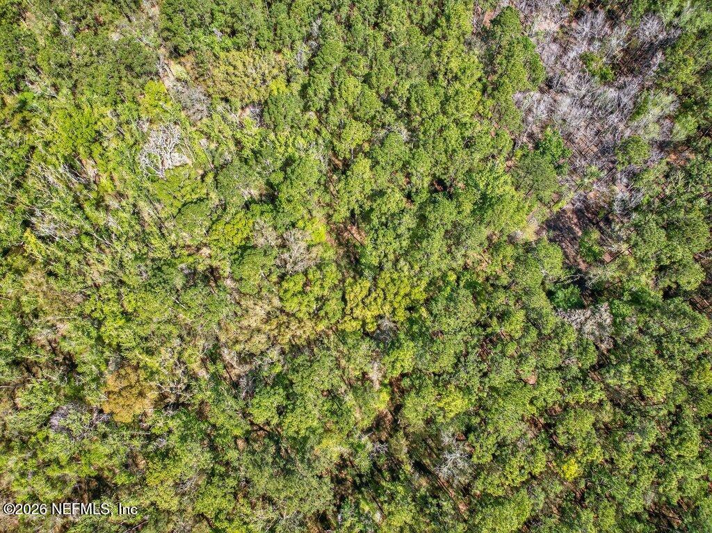 308 Palmetto Bluff Road Palatka, FL 32177 - Photo 20 of 47 020-308PalmettoBluffRoad-Palatka-FL-3217