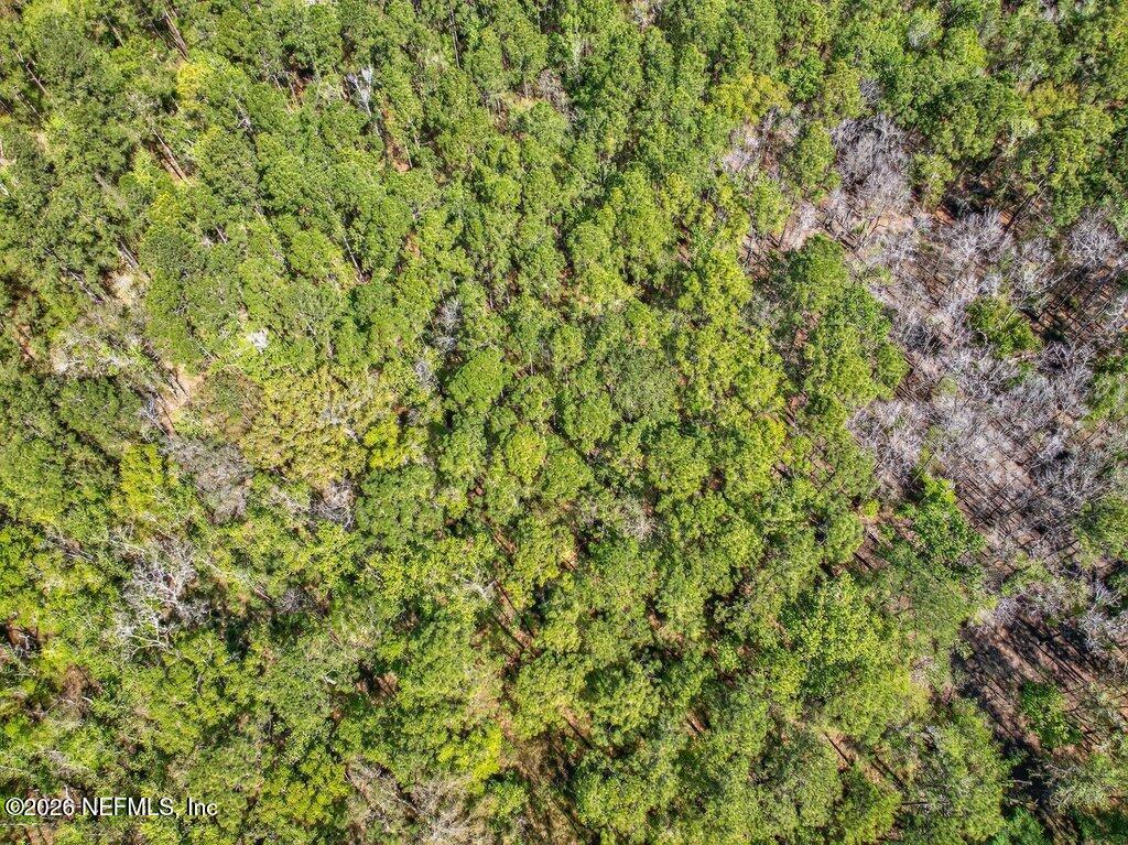 308 Palmetto Bluff Road Palatka, FL 32177 - Photo 21 of 47 021-308PalmettoBluffRoad-Palatka-FL-3217