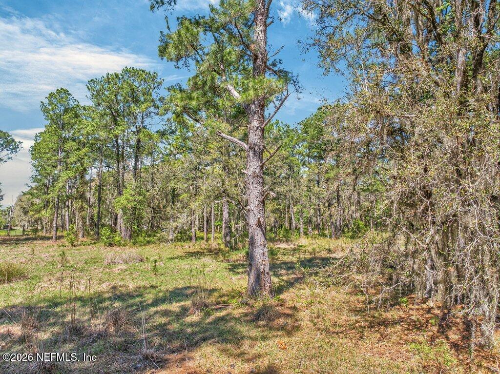 308 Palmetto Bluff Road Palatka, FL 32177 - Photo 24 of 47 024-308PalmettoBluffRoad-Palatka-FL-3217