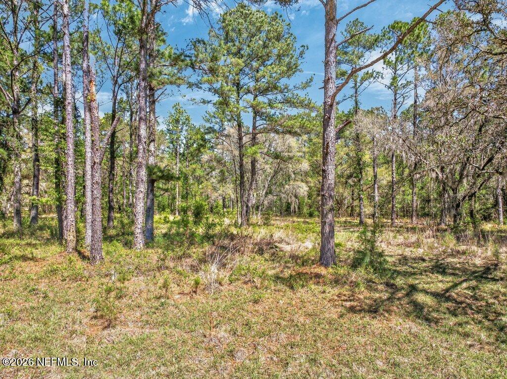 308 Palmetto Bluff Road Palatka, FL 32177 - Photo 25 of 47 025-308PalmettoBluffRoad-Palatka-FL-3217