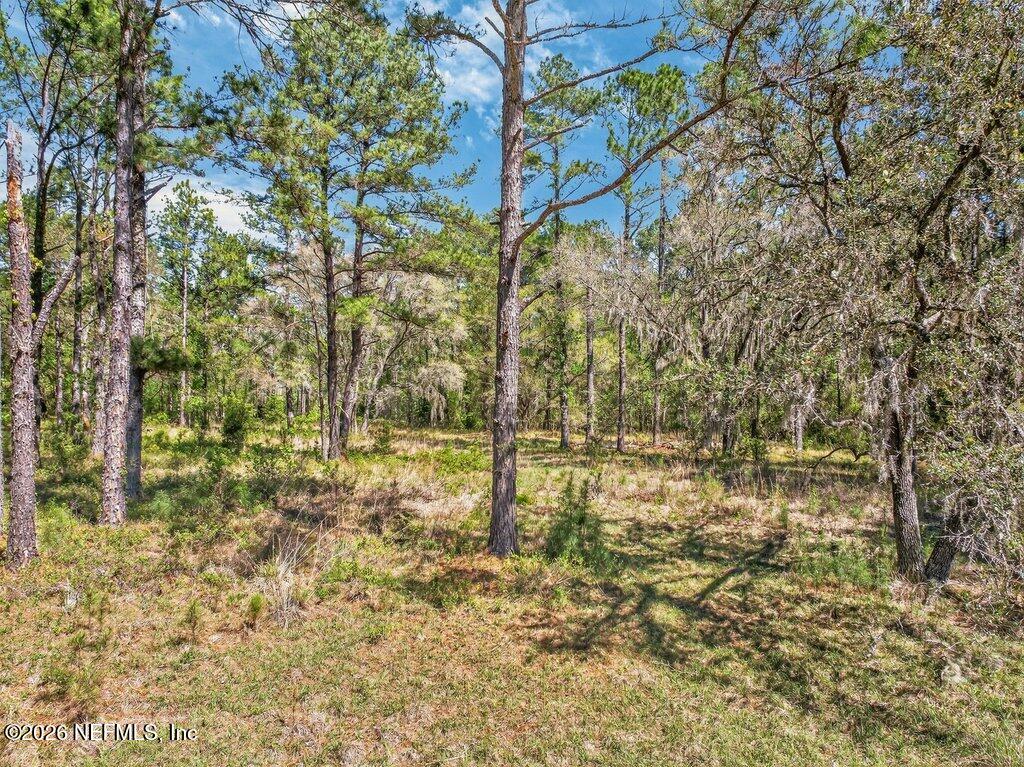 308 Palmetto Bluff Road Palatka, FL 32177 - Photo 26 of 47 026-308PalmettoBluffRoad-Palatka-FL-3217