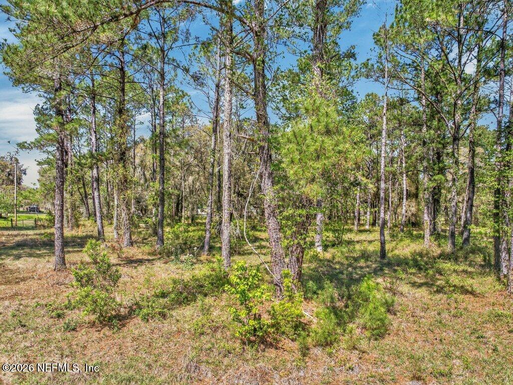 308 Palmetto Bluff Road Palatka, FL 32177 - Photo 28 of 47 028-308PalmettoBluffRoad-Palatka-FL-3217