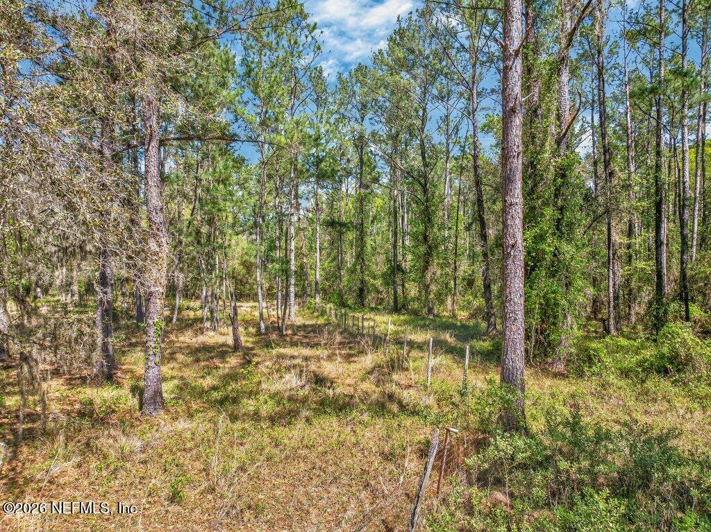 308 Palmetto Bluff Road Palatka, FL 32177 - Photo 29 of 47 029-308PalmettoBluffRoad-Palatka-FL-3217