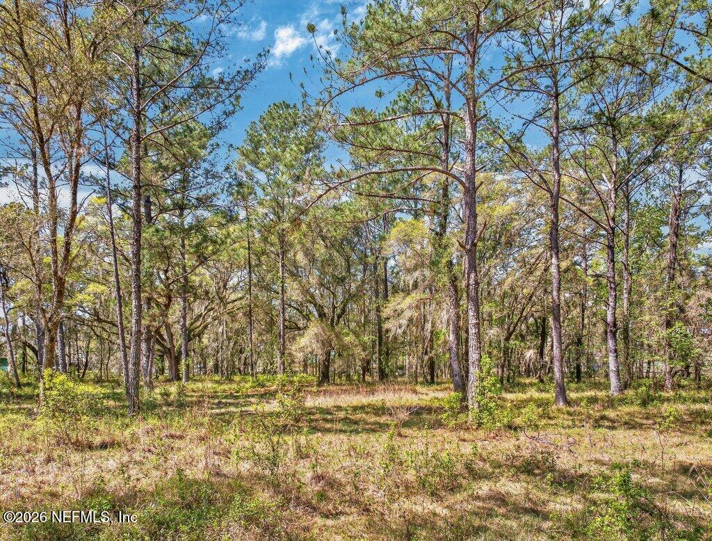 308 Palmetto Bluff Road Palatka, FL 32177 - Photo 34 of 47 034-308PalmettoBluffRoad-Palatka-FL-3217