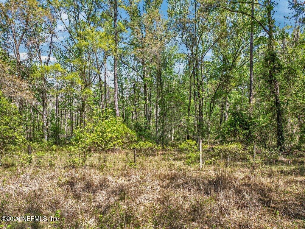 308 Palmetto Bluff Road Palatka, FL 32177 - Photo 35 of 47 035-308PalmettoBluffRoad-Palatka-FL-3217